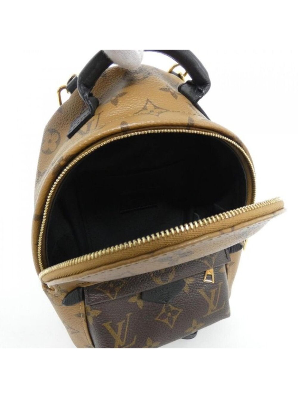 Louis Vuitton Monogram Reverse Palm Spring Backpack Mini Sac - Picture 5 of 6